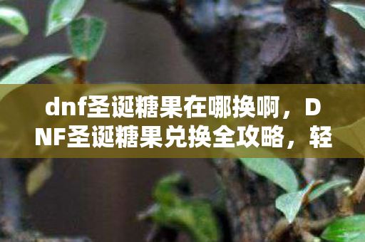 dnf圣诞糖果在哪换啊，DNF圣诞糖果兑换全攻略，轻松获取丰厚奖励