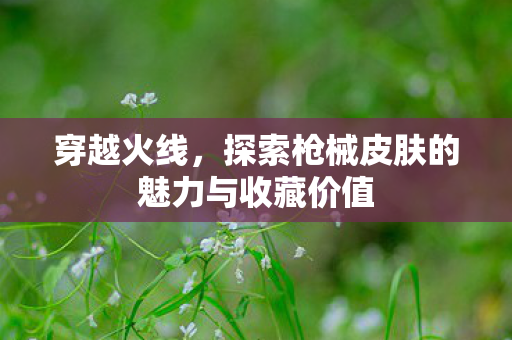 穿越火线,探索枪械皮肤的魅力与收藏价值 穿越火线,探索枪械皮肤的魅力与收藏价值