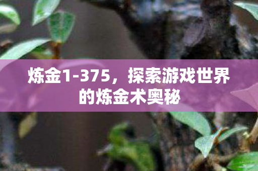 炼金1-375,探索游戏世界的炼金术奥秘 炼金1-375,探索游戏世界的炼金术奥秘