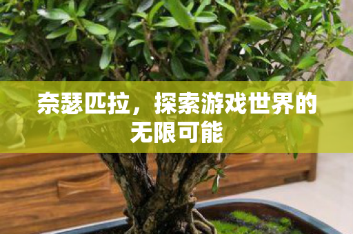 奈瑟匹拉,探索游戏世界的无限可能 奈瑟匹拉,探索游戏世界的无限可能