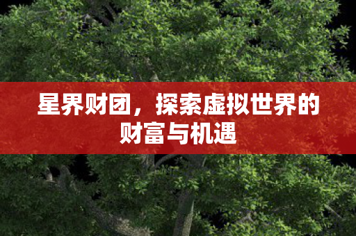 星界财团,探索虚拟世界的财富与机遇 星界财团,探索虚拟世界的财富与机遇