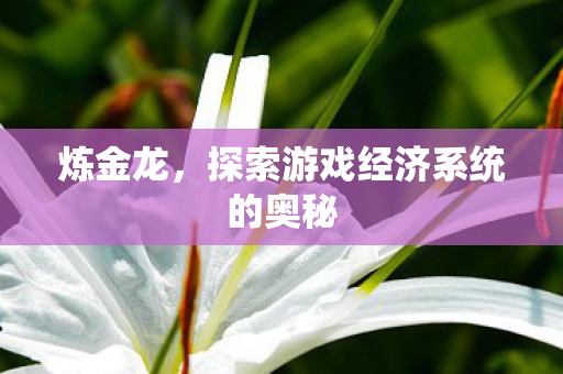 炼金龙,探索游戏经济系统的奥秘 炼金龙,探索游戏经济系统的奥秘