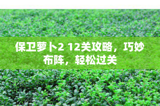 保卫萝卜2 12关攻略,巧妙布阵,轻松过关 保卫萝卜2 12关攻略,巧妙布阵,轻松过关