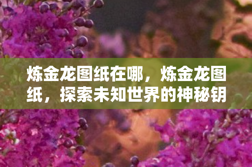 炼金龙图纸在哪,炼金龙图纸,探索未知世界的神秘钥匙 炼金龙图纸在哪,炼金龙图纸,探索未知世界的神秘钥匙