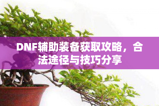 DNF辅助装备获取攻略，合法途径与技巧分享