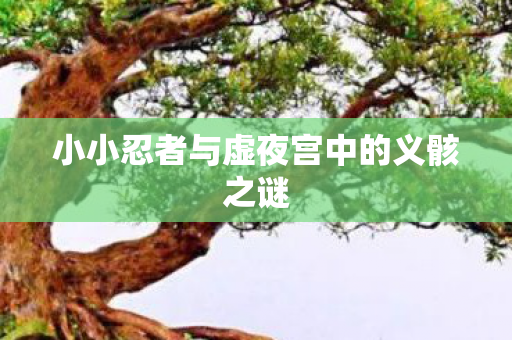 小小忍者与虚夜宫中的义骸之谜 小小忍者与虚夜宫中的义骸之谜