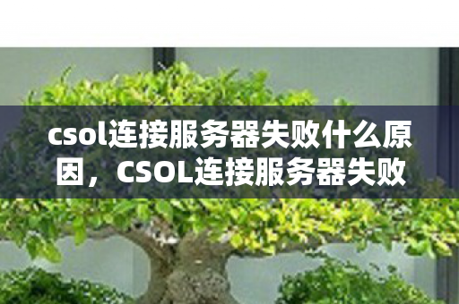 csol连接服务器失败什么原因，CSOL连接服务器失败，深度解析与解决方案
