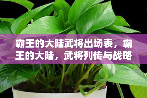 霸王的大陆武将出场表,霸王的大陆,武将列传与战略智慧 霸王的大陆武将出场表,霸王的大陆,武将列传与战略智慧