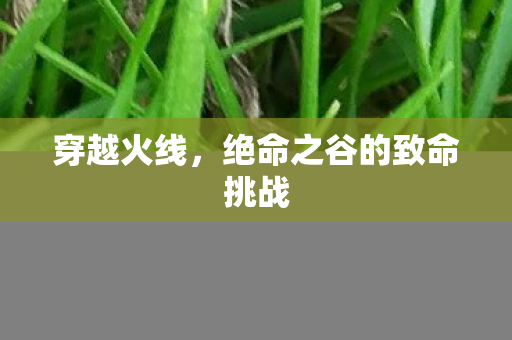 穿越火线,绝命之谷的致命挑战 穿越火线,绝命之谷的致命挑战