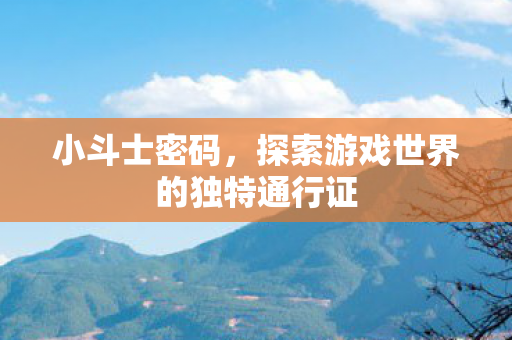小斗士密码,探索游戏世界的独特通行证 小斗士密码,探索游戏世界的独特通行证