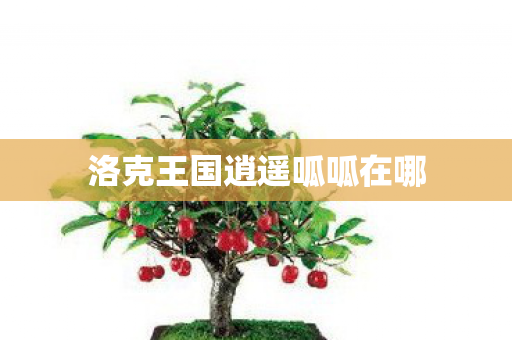 洛克王国逍遥呱呱在哪 洛克王国逍遥呱呱在哪