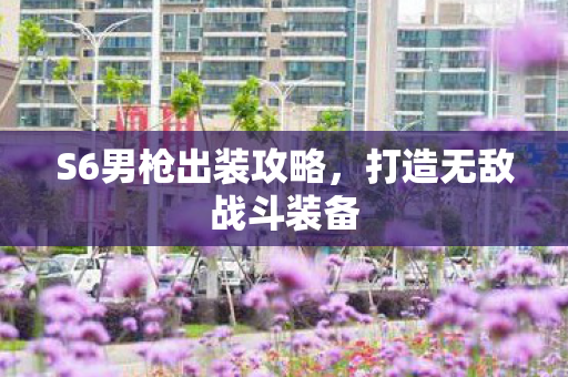 S6男枪出装攻略，打造无敌战斗装备