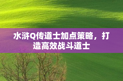 水浒Q传道士加点策略,打造高效战斗道士 水浒Q传道士加点策略,打造高效战斗道士