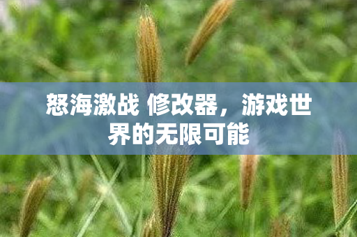 怒海激战 修改器,游戏世界的无限可能 怒海激战 修改器,游戏世界的无限可能