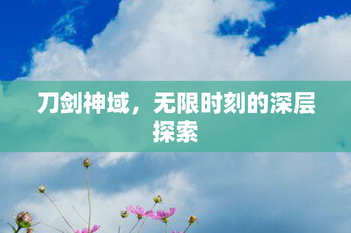 刀剑神域,无限时刻的深层探索 刀剑神域,无限时刻的深层探索