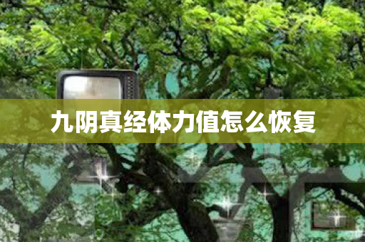 九阴真经体力值怎么恢复 九阴真经体力值怎么恢复