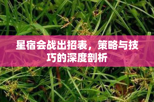 星宿会战出招表，策略与技巧的深度剖析