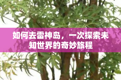 如何去雷神岛,一次探索未知世界的奇妙旅程 如何去雷神岛,一次探索未知世界的奇妙旅程