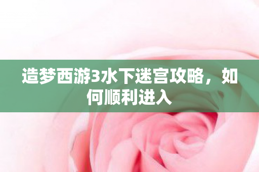 造梦西游3水下迷宫攻略,如何顺利进入 造梦西游3水下迷宫攻略,如何顺利进入