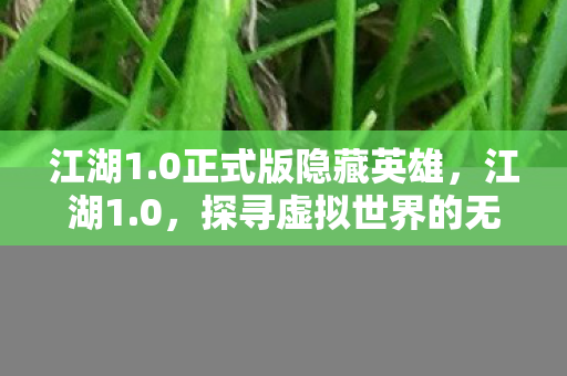 江湖1.0正式版隐藏英雄，江湖1.0，探寻虚拟世界的无限可能