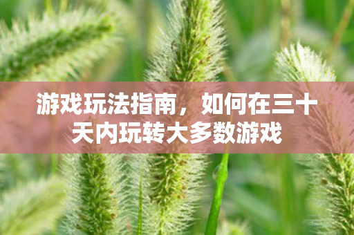 游戏玩法指南，如何在三十天内玩转大多数游戏