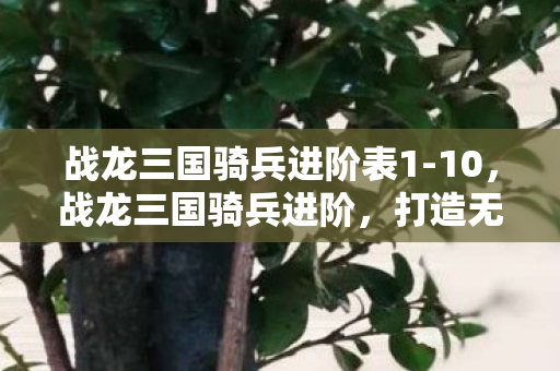 战龙三国骑兵进阶表1-10,战龙三国骑兵进阶,打造无敌铁骑,驰骋三国战场 战龙三国骑兵进阶表1-10,战龙三国骑兵进阶,打造无敌铁骑,驰骋三国战场