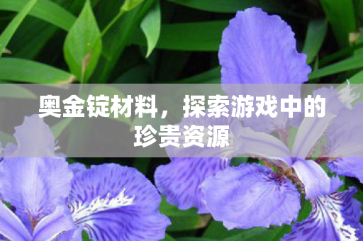 奥金锭材料,探索游戏中的珍贵资源 奥金锭材料,探索游戏中的珍贵资源