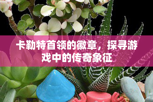 卡勒特首领的徽章，探寻游戏中的传奇象征
