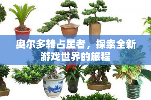 奥尔多转占星者，探索全新游戏世界的旅程