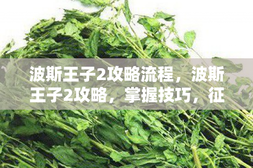 波斯王子2攻略流程,波斯王子2攻略,掌握技巧,征服挑战 波斯王子2攻略流程,波斯王子2攻略,掌握技巧,征服挑战