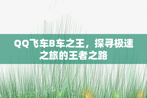 QQ飞车B车之王,探寻极速之旅的王者之路 QQ飞车B车之王,探寻极速之旅的王者之路