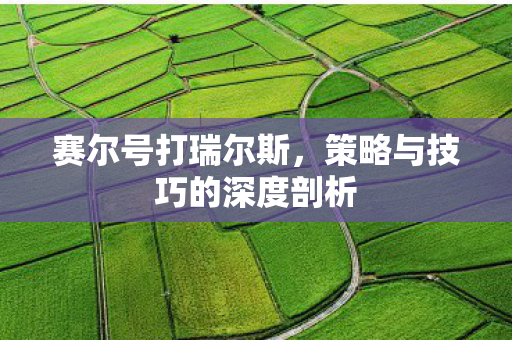 赛尔号打瑞尔斯,策略与技巧的深度剖析 赛尔号打瑞尔斯,策略与技巧的深度剖析
