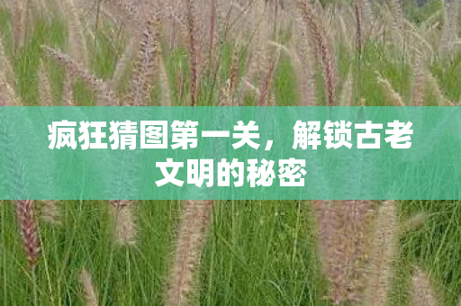 疯狂猜图第一关,解锁古老文明的秘密 疯狂猜图第一关,解锁古老文明的秘密