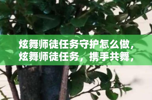 炫舞师徒任务守护怎么做,炫舞师徒任务,携手共舞,传承技艺 炫舞师徒任务守护怎么做,炫舞师徒任务,携手共舞,传承技艺