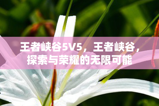 王者峡谷5V5,王者峡谷,探索与荣耀的无限可能 王者峡谷5V5,王者峡谷,探索与荣耀的无限可能