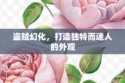 盗贼幻化,打造独特而迷人的外观 盗贼幻化,打造独特而迷人的外观