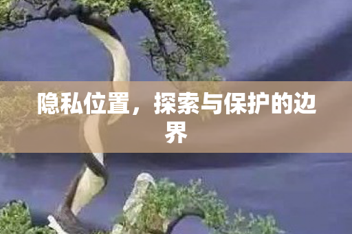 隐私位置,探索与保护的边界 隐私位置,探索与保护的边界