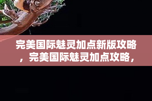 完美国际魅灵加点新版攻略,完美国际魅灵加点攻略,打造高效战斗力的关键 完美国际魅灵加点新版攻略,完美国际魅灵加点攻略,打造高效战斗力的关键