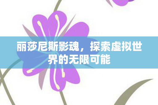 丽莎尼斯影魂，探索虚拟世界的无限可能