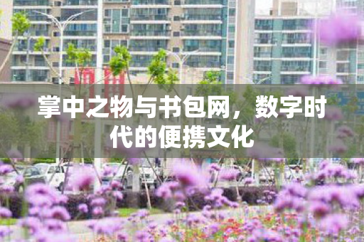 掌中之物与书包网,数字时代的便携文化 掌中之物与书包网,数字时代的便携文化