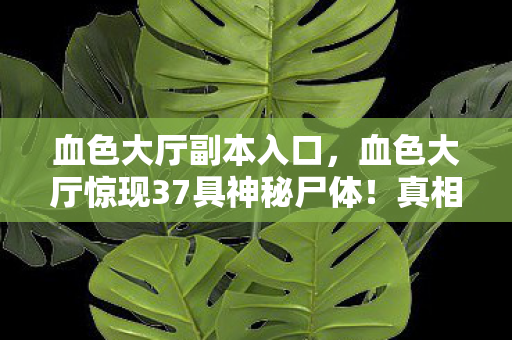 血色大厅副本入口，血色大厅惊现37具神秘尸体！真相背后藏着怎样的惊天秘密？
