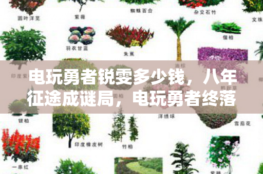 电玩勇者锐雯多少钱,八年征途成谜局,电玩勇者终落幕,泪目竟是无声散场时 电玩勇者锐雯多少钱,八年征途成谜局,电玩勇者终落幕,泪目竟是无声散场时