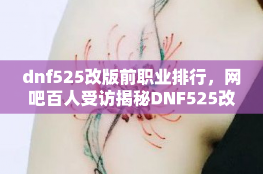 dnf525改版前职业排行,网吧百人受访揭秘DNF525改版疑点,老玩家绷不住泪洒当场 dnf525改版前职业排行,网吧百人受访揭秘DNF525改版疑点,老玩家绷不住泪洒当场