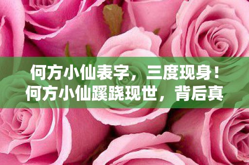 何方小仙表字,三度现身!何方小仙蹊跷现世,背后真相让人后背发凉 何方小仙表字,三度现身!何方小仙蹊跷现世,背后真相让人后背发凉