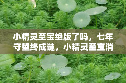 小精灵至宝绝版了吗，七年守望终成谜，小精灵至宝消逝时，泪目见证游戏终章