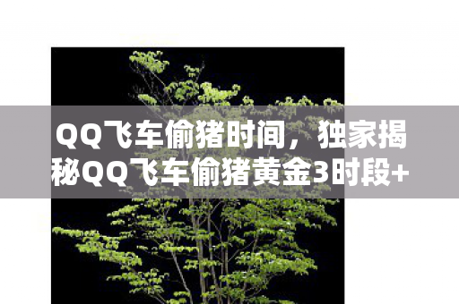 QQ飞车偷猪时间，独家揭秘QQ飞车偷猪黄金3时段+避坑心得，错过再等一年！