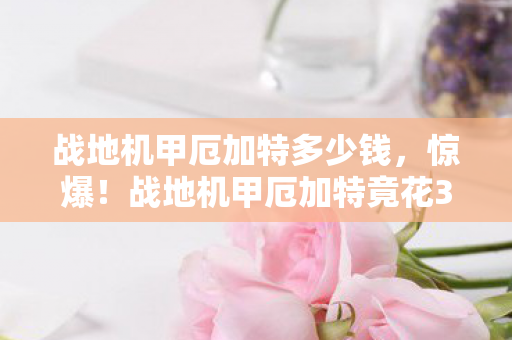 战地机甲厄加特多少钱,惊爆!战地机甲厄加特竟花3000万做废?背后隐情让人吓一跳! 战地机甲厄加特多少钱,惊爆!战地机甲厄加特竟花3000万做废?背后隐情让人吓一跳!