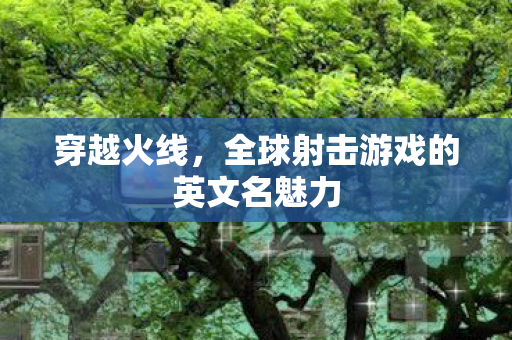 穿越火线,全球射击游戏的英文名魅力 穿越火线,全球射击游戏的英文名魅力