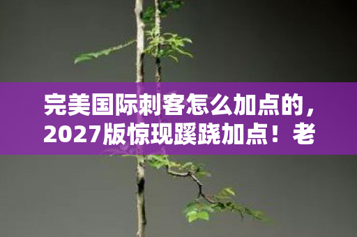 完美国际刺客怎么加点的,2027版惊现蹊跷加点!老玩家直呼这操作绝了 完美国际刺客怎么加点的,2027版惊现蹊跷加点!老玩家直呼这操作绝了