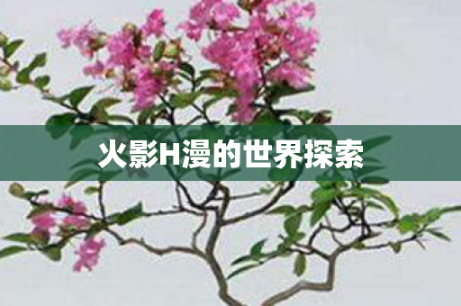 火影H漫的世界探索 火影H漫的世界探索